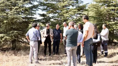 Akçadağ’da yeni mezarlık alanı için çalışmalar başlatıldı