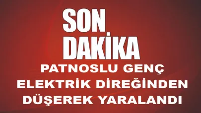 Patnoslu Genç Elektrik Direğinden Düşerek Yaralandı
