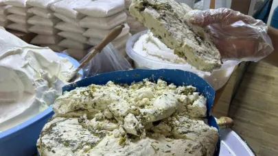 Van’ın Meşhur Otlu Peyniri Tezgâhlarda