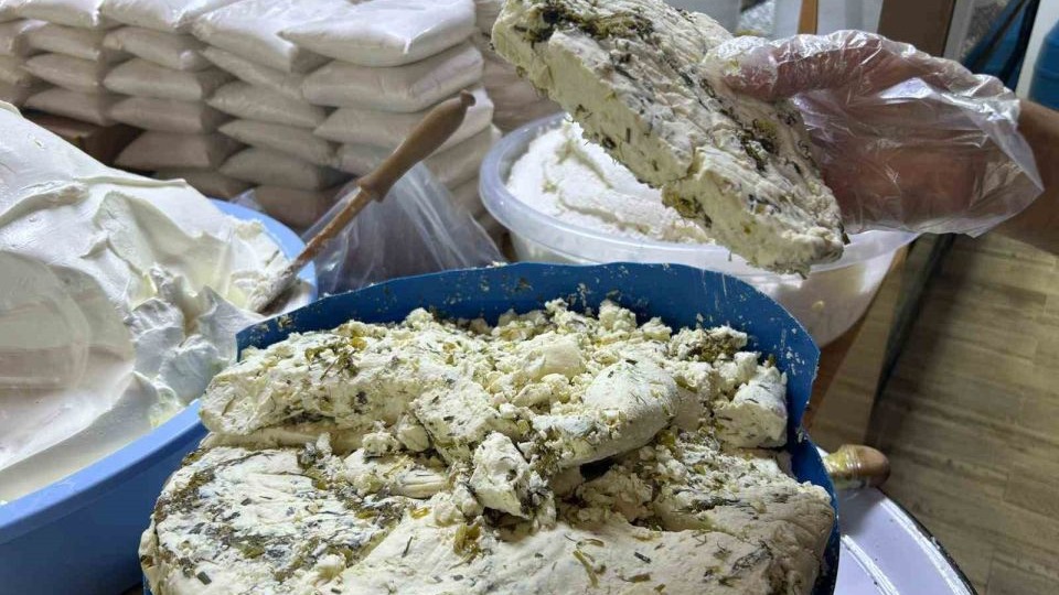 Van’ın Meşhur Otlu Peyniri Tezgâhlarda