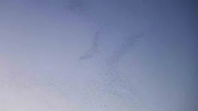 Bitlis semalarında binlerce kuş adeta dans etti