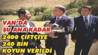 Van Valisi Ozan Balcı: "Çiftçilerimize 240 bin koyun verdik"