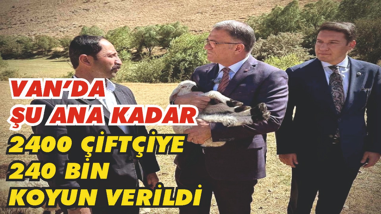 Van Valisi Ozan Balcı: "Çiftçilerimize 240 bin koyun verdik"