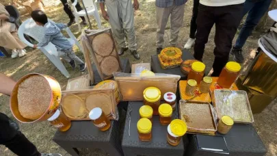Hakkari'de bal hasadı başladı