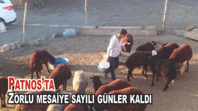 Patnos’ta Besiciler Kışa Hazırlanıyor