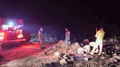 Bingöl’de çıkan orman yangınları kontrol altına alındı