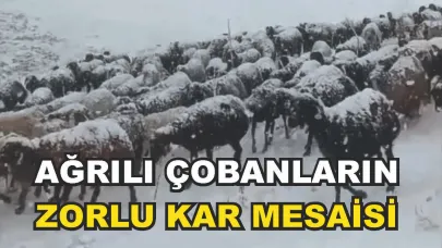 Ağrı’da mevsimin ilk karı yaylalarda çobanları zor durumda bıraktı