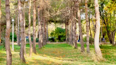 Ağrı’da Sonbahar Renklerini Göstermeye Başladı