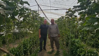 O ilde şap hastalığı kontrol altına alındı