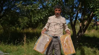 Malatya’da bal hasadı başladı