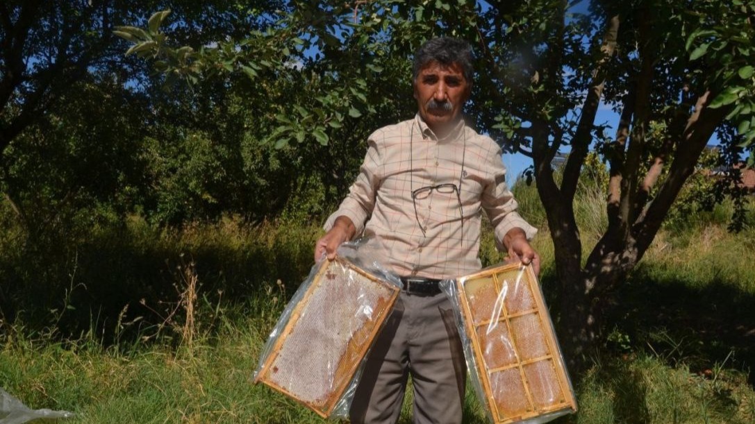 Malatya’da bal hasadı başladı