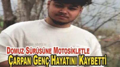 Yaban Domuzuna Çarpan Genç Hayatını Kaybetti