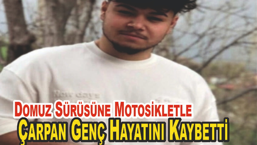 Yaban Domuzuna Çarpan Genç Hayatını Kaybetti