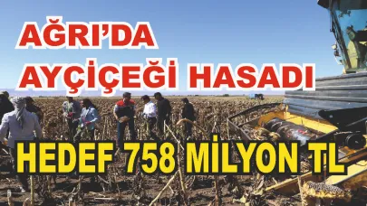 Ağrı’da ayçiçeği üretiminde rekor artış