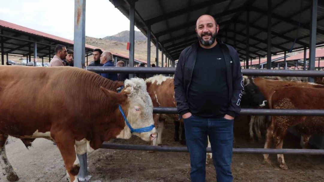 Erzurum Oltu'da canlı hayvan pazarı şap hastalığı sonrası eski canlılığına kavuştu