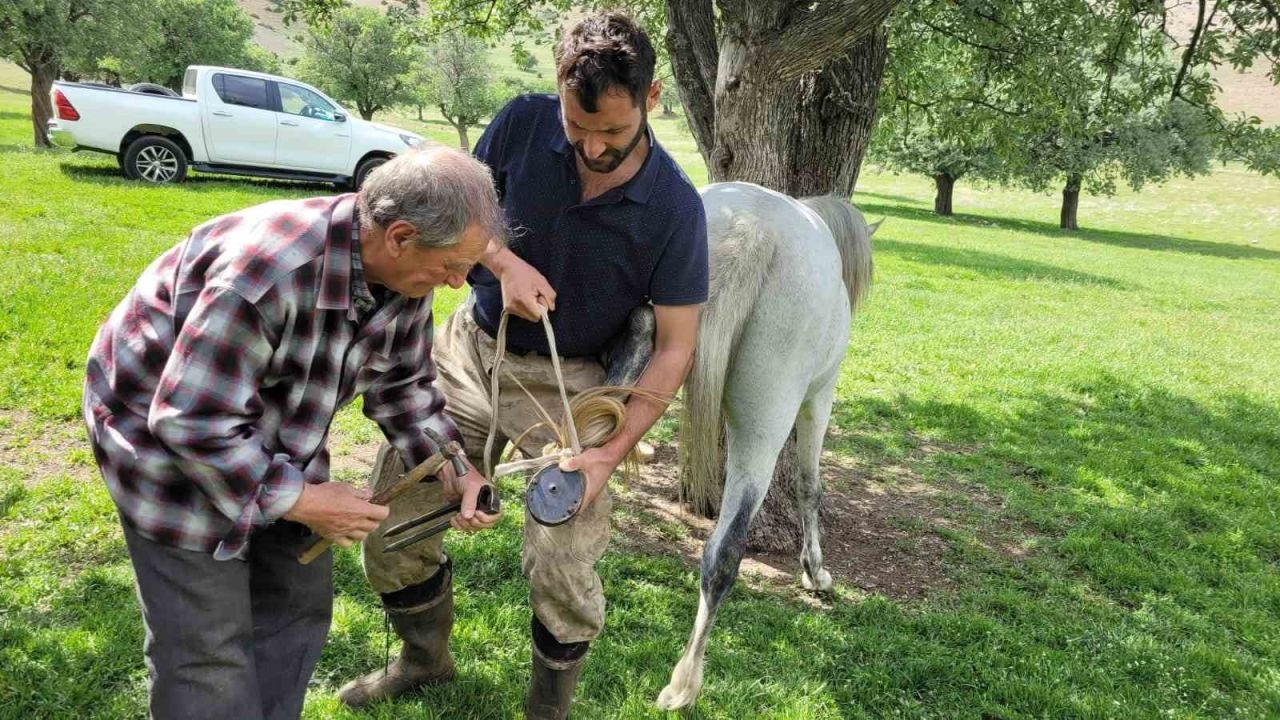 Erzincan Kemaliye’de son nalbant ustası yarım asırdır mesleğini sürdürüyor