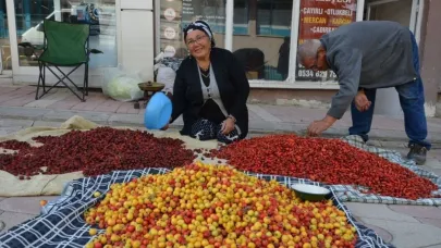Erzincan'ın Tercan dağlarında yetişen yaban meyveleri pazar tezgahlarını süslüyor