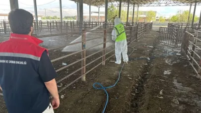 Iğdır’da hayvan pazarı tekrar kapatıldı