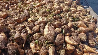 O Şeker Fabrikası’nda hedef 62 bin ton şeker üretimi