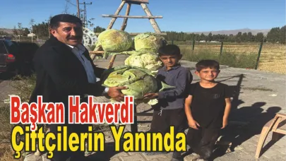 Patnos’un Lahana Ünü Sınırları Aşıyor