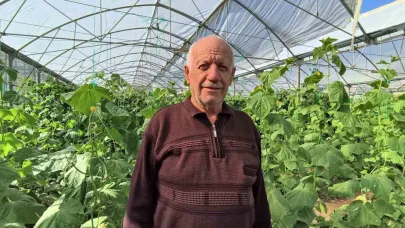 Erzurum Uzundere'de Doğu Anadolu’nun en büyük serasında üretim aralıksız sürüyor