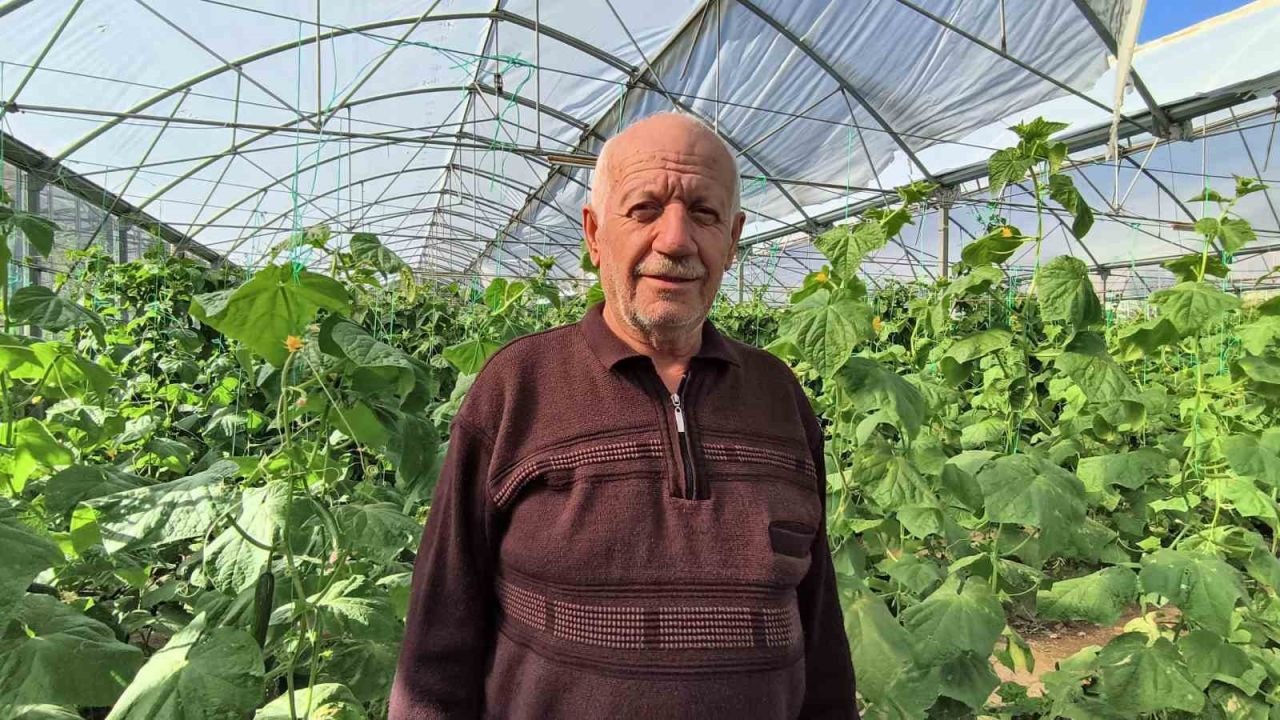 Erzurum Uzundere'de Doğu Anadolu’nun en büyük serasında üretim aralıksız sürüyor