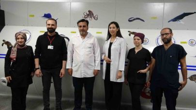 Van’da hiperbarik oksijen tedavi merkezi son teknolojiyle yenilendi