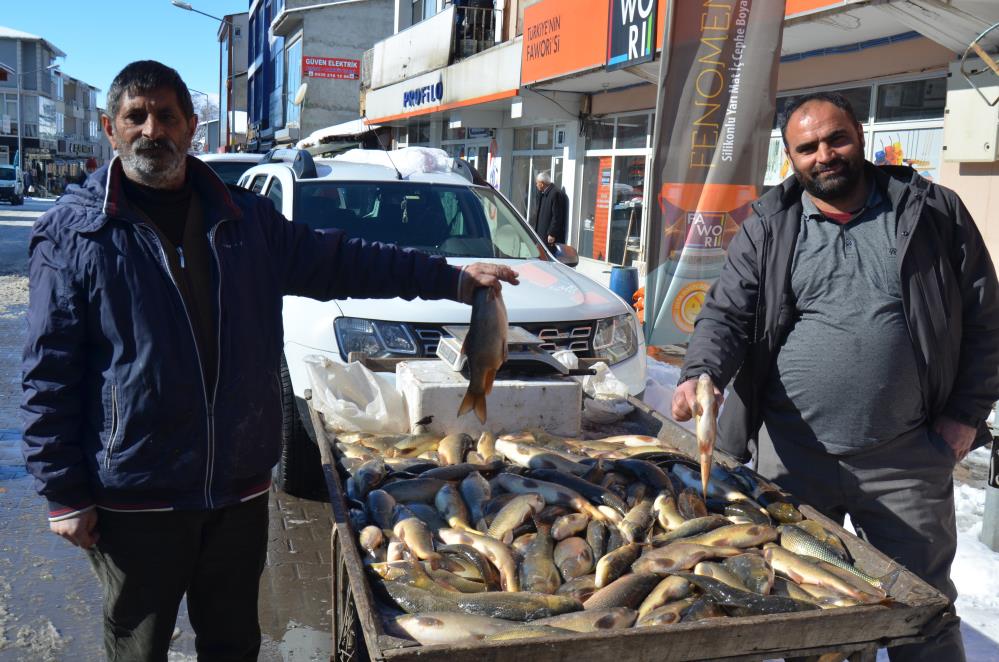 Murat Nehri'nde balık bolluğu