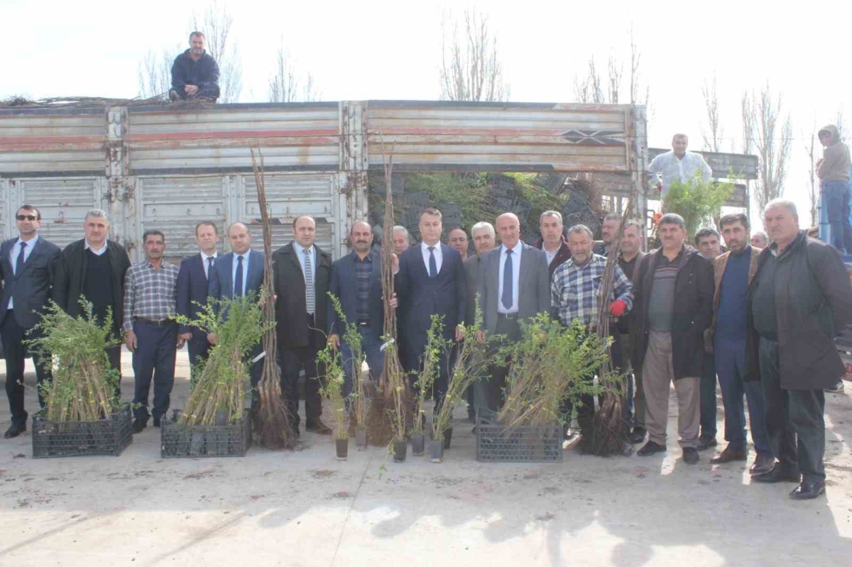 Çiftçilere 20 bin meyve fidanı dağıtıldı
