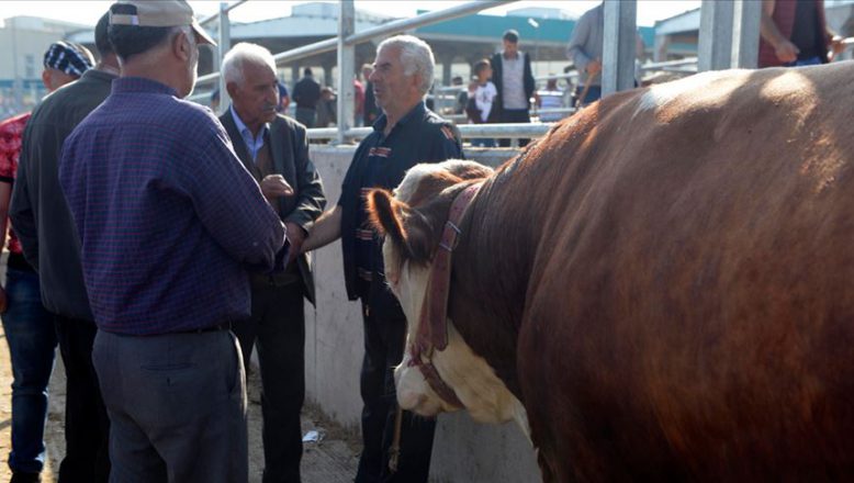 Kapatılan Patnos Mal Meydanı Ne Zaman Açılacak