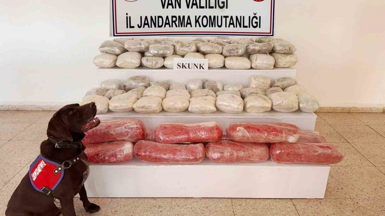 61,9 kilogram skunk ele geçirildi