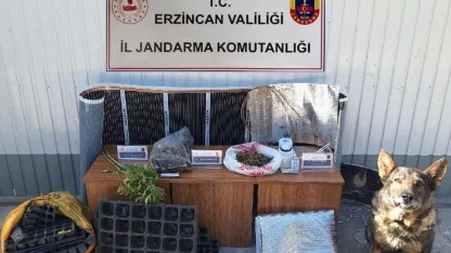 Jandarma Erzincan’da eylül ayında suç olaylarının yüzde 98,6’ını aydınlattı