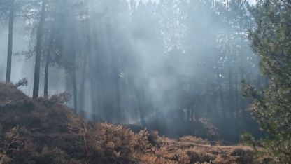 Orman yangını büyümeden kontrol altına alındı