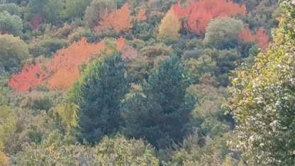 Ardahan Posof’ta sonbahar güzelliği