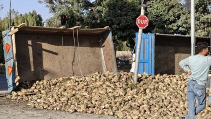 Şeker pancarı yüklü traktör devrildi