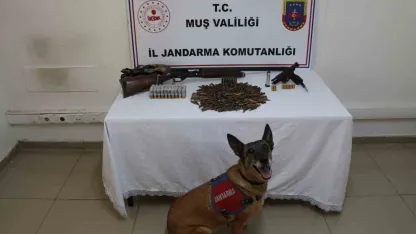 Muş’ta tezek yığınının altından silah ve mühimmat çıktı