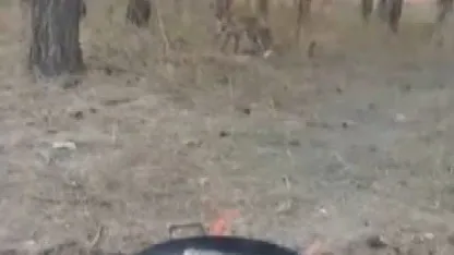 Kars’ta tilkiler yerleşim yerlerinde cirit atıyor