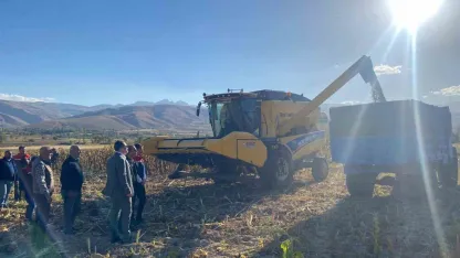 Erzincan’ın  Çayırlı’da ayçiçeği hasadı başladı