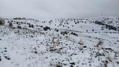 Posof’ta kar yağışı etkili oldu