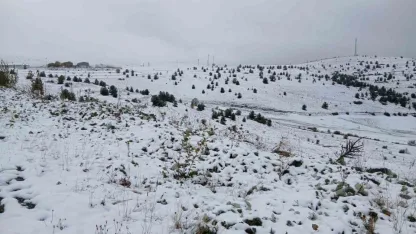 Posof’ta kar yağışı etkili oldu