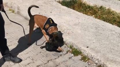 Polis Bitlis’te uyuşturucu operasyonu gerçekleştirdi