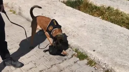 Polis Bitlis’te uyuşturucu operasyonu gerçekleştirdi