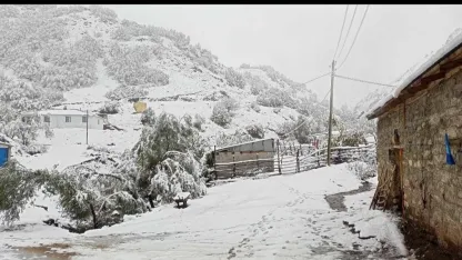 Erzincan'da hasadı yapılmayan ceviz kar altında kaldı