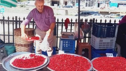 Vitamin deposu kızılcık tezgahlarda yerini aldı