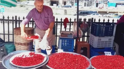 Vitamin deposu kızılcık tezgahlarda yerini aldı