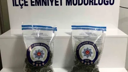 Malatya’da 752 gram esrar ele geçirildi: 1 kişi tutuklandı