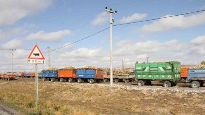 Malazgirt’te şeker pancar alımları devam ediyor