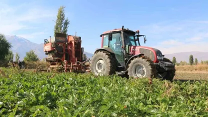 Erzincan’da şeker pancarı üretimi yılda yaklaşık 1 milyar TL boyutunda ekonomik döngü ortaya koyuyor