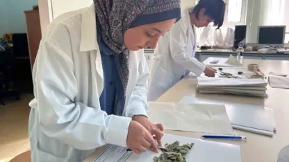 90 bin bitki örneğiyle bilimsel bir hazine: VANF Herbaryumu
