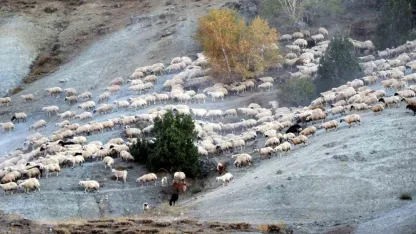 Yayla mesaisini tamamlayan Doğu Anadolu’daki göçerler dönüş yolunda